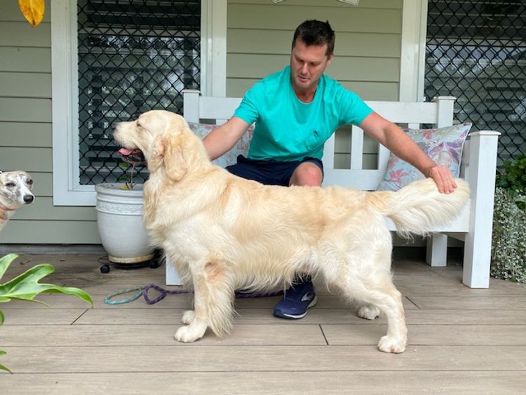 ATHOLGOLD Golden Retrievers