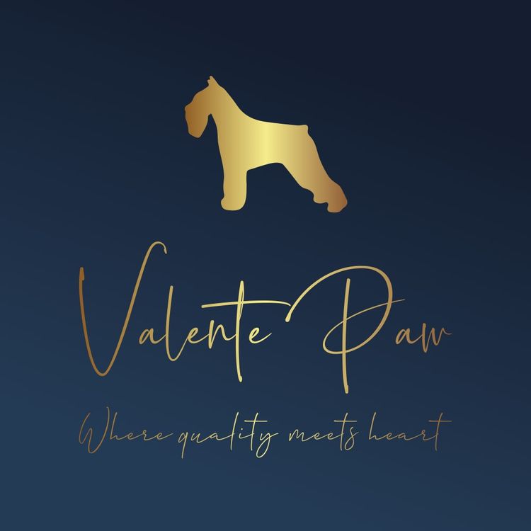 Valente Paw - Miniature Schnauzers
