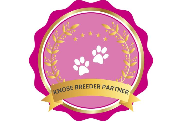 Vivaretrieva Golden Retrievers (ANKC)