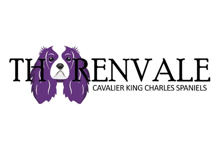 Thorenvale Cavaliers