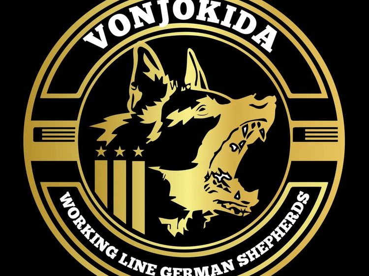 VonJokida Working Line German Shepherds