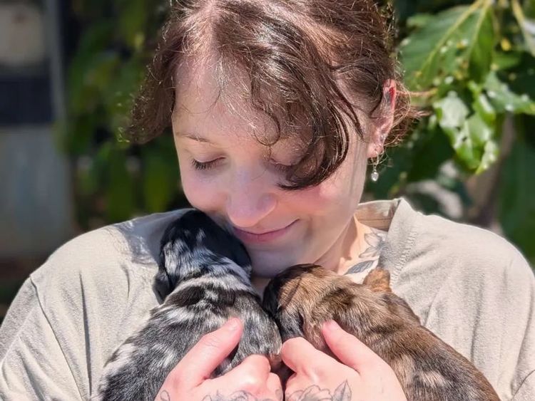 Dachshund Obsession
