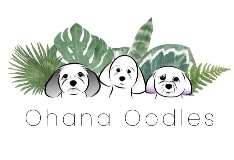 Ohana oodles