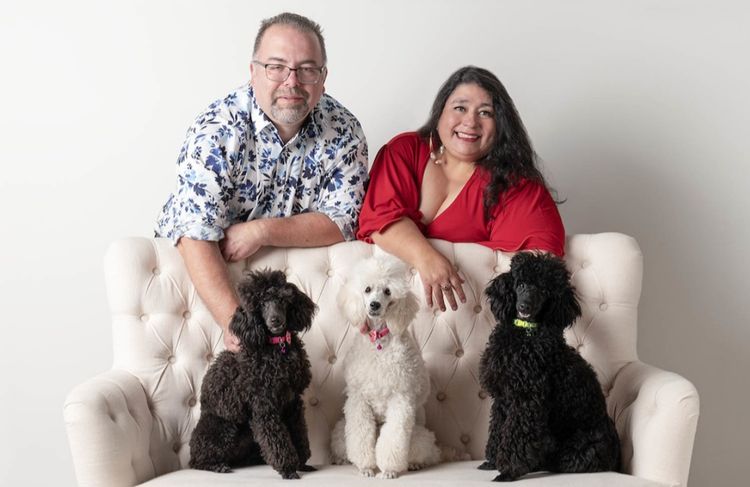 Miniature Poodles. Point Cook