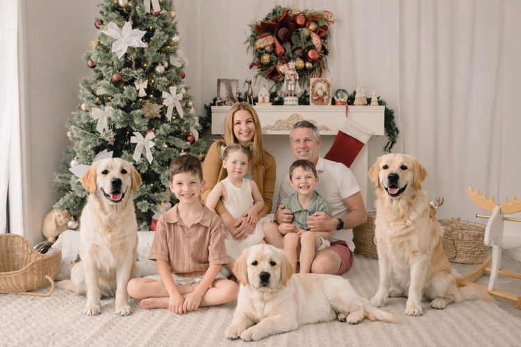 Rosengold Golden Retrievers