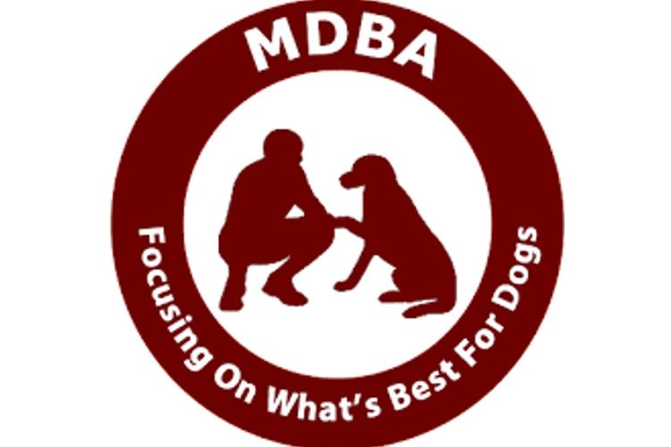 Tobiyah Dachshunds (MDBA Registered Breeder)