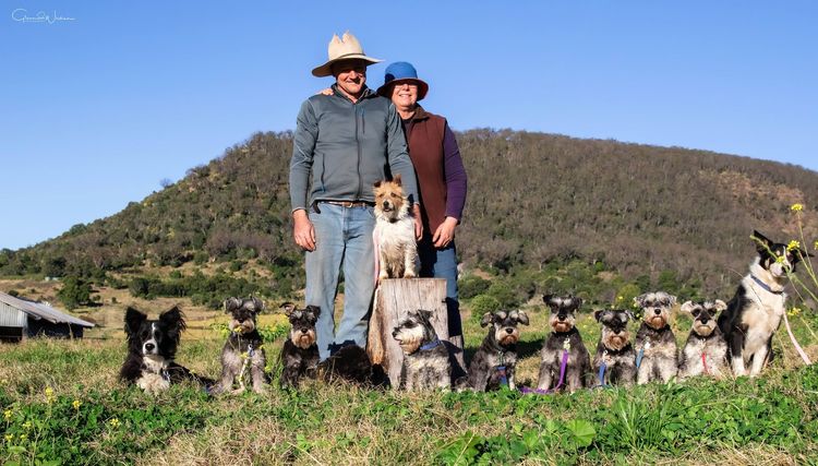 Merindah Farm Miniature Schnauzers