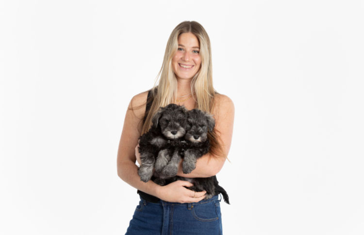 Mayas Puppies