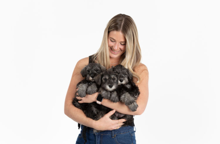 Mayas Puppies