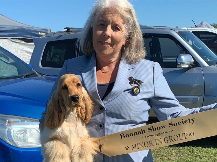 Brayroan Cocker Spaniels Dogs QLD - Dogs Australia (ANKC)Reg