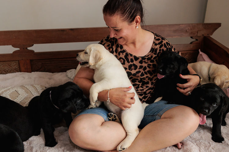 Mandella Labs - ANKC Registered & Dogs Qld Member