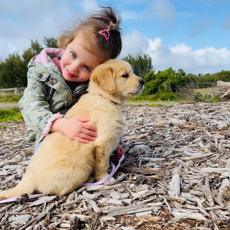Capesatta Canines
