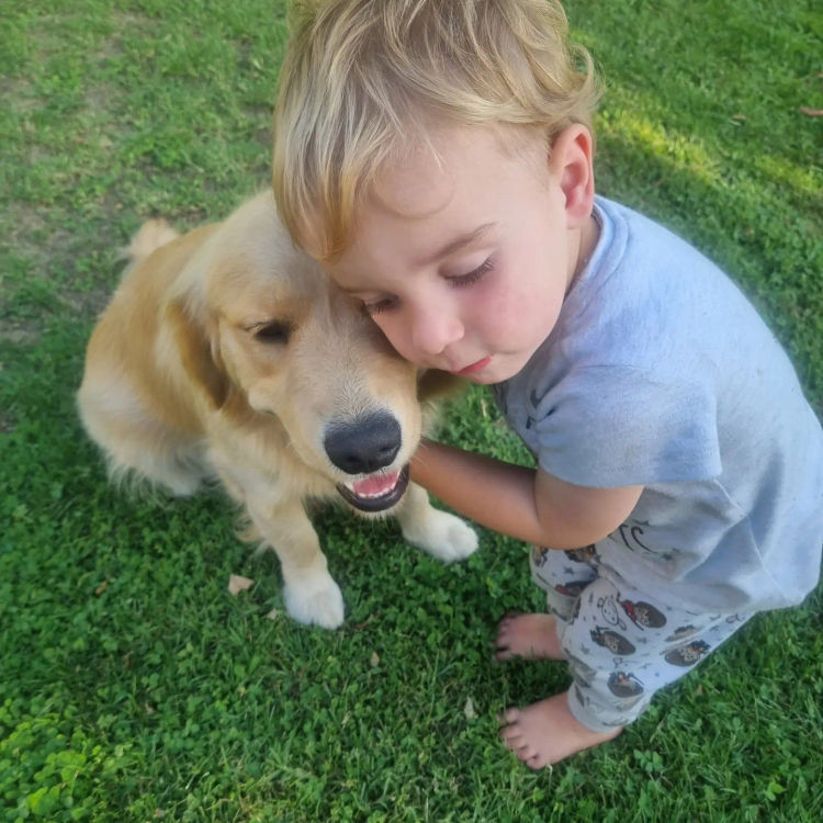 Capesatta Canines