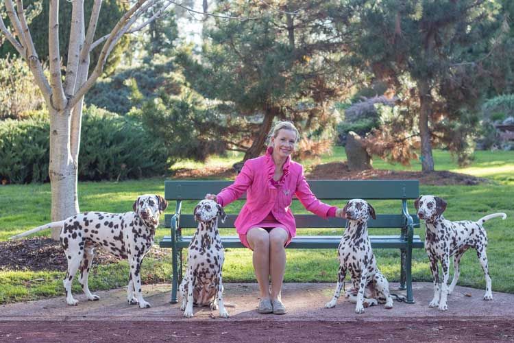 CCDalmatians