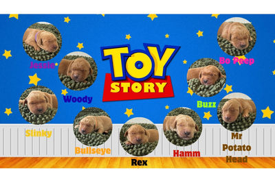 Toy Story