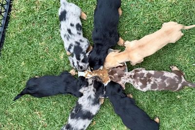 Sugar & Spice and all things nice ❤️