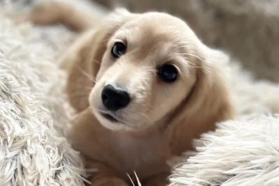 RIVER x JAY - Mar Litter 2026