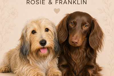 Rosie x Franklin 