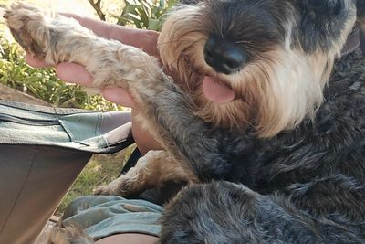 Eumundi Murray x Litsea - August Litter 2026