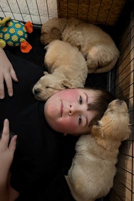 Lucy- Jun Litter 2026