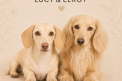 Lucy x Elroy