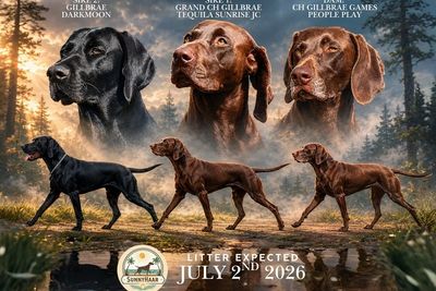 Jul Litter 2026