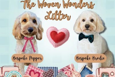 Bespoke Pepper x Bespoke Brodie - “Woven Wonders Litter”