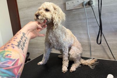Clair and Charlie