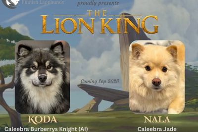 Koda x Nala - 2026