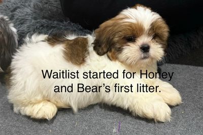 October litter 2026
