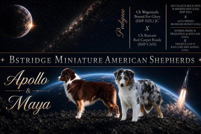 Apollo x Maya  - Galactic Litter July 2026