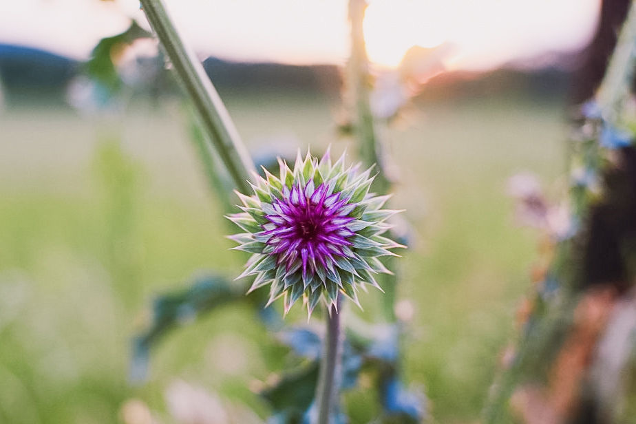 Book a photography session in Macon Georgia