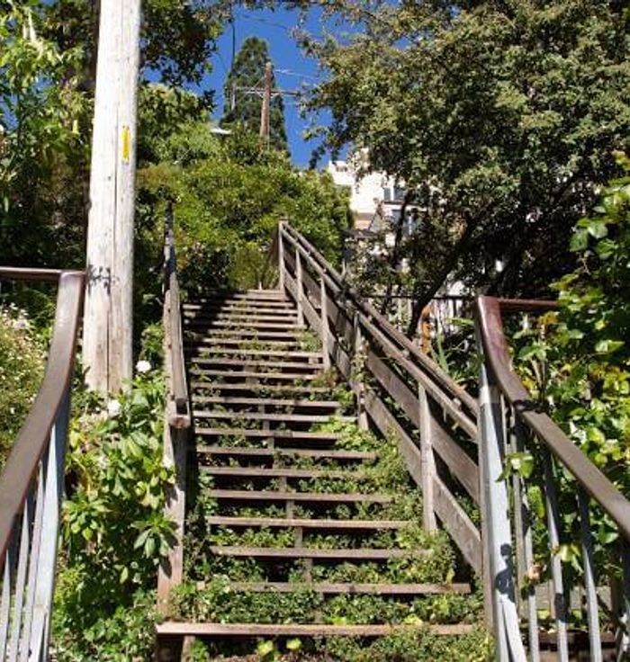 Filbert Steps