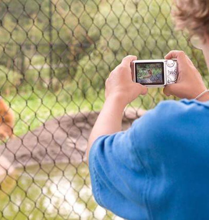 Franklin Park Zoo