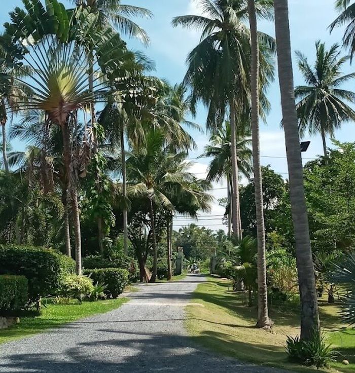 Magic Alambic Rum Distillery