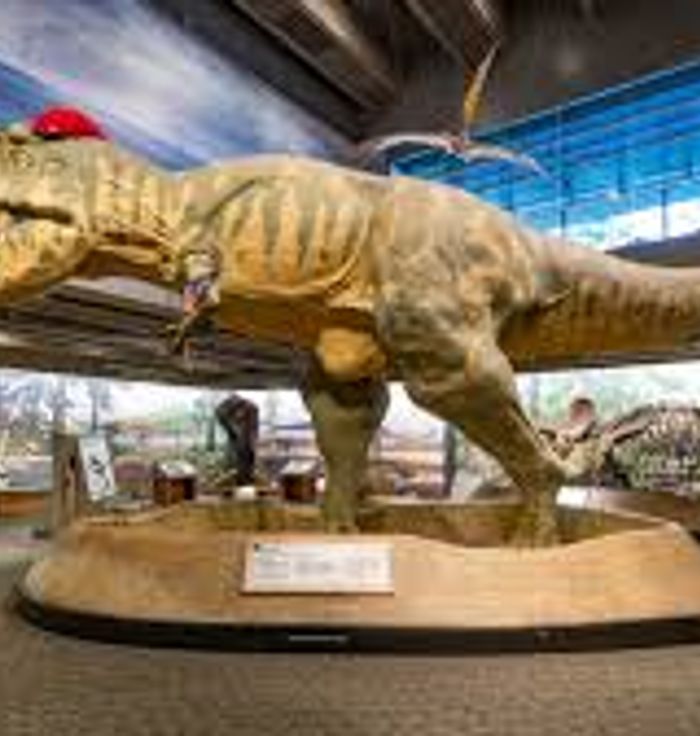 Museum of Science