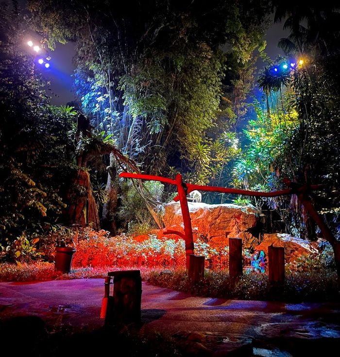 Night Safari