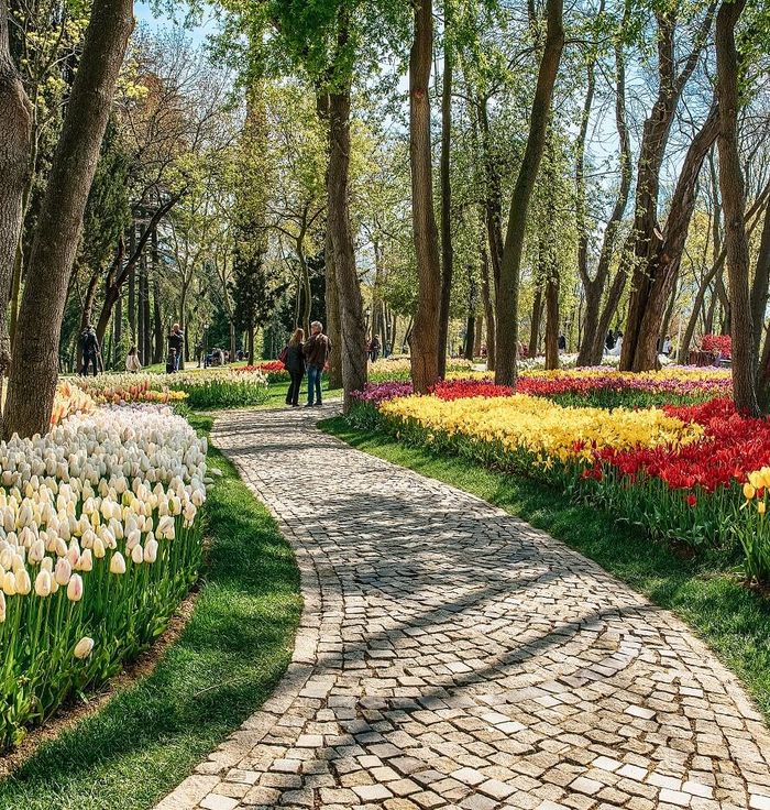 İBB Emirgan Grove