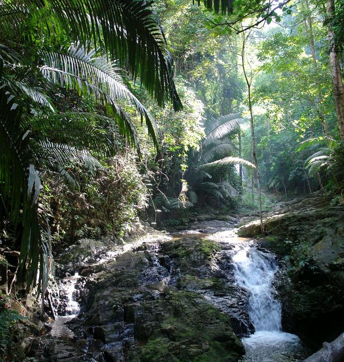 Khao Phanom Bencha National Park