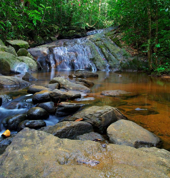 Sinharaja Forest Reserve