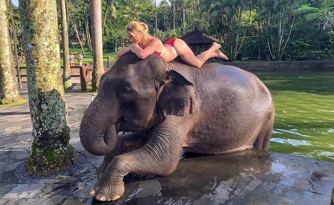 Bali Elephant Wash & Lunch Day Tour    