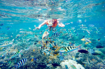 Snorkeling in Nusa Penida