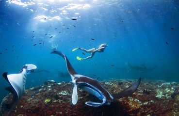 Snorekeling Nusa Penida