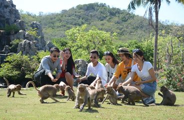 Can Gio Monkey Forest