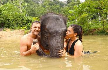 Bathing with Elephants