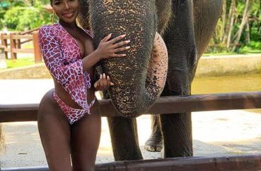 Phuket Elephant Sanctuary
