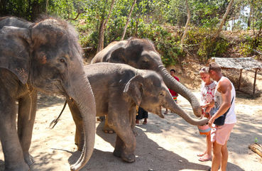 Phuket Elephant Sanctuary