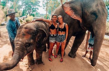 Phuket Elephant Sanctuary