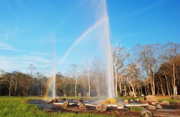 Bicycle and Thai Cooking