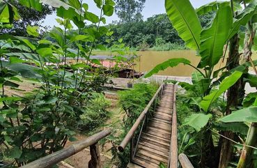 Trishaw and Maeping River Cruise